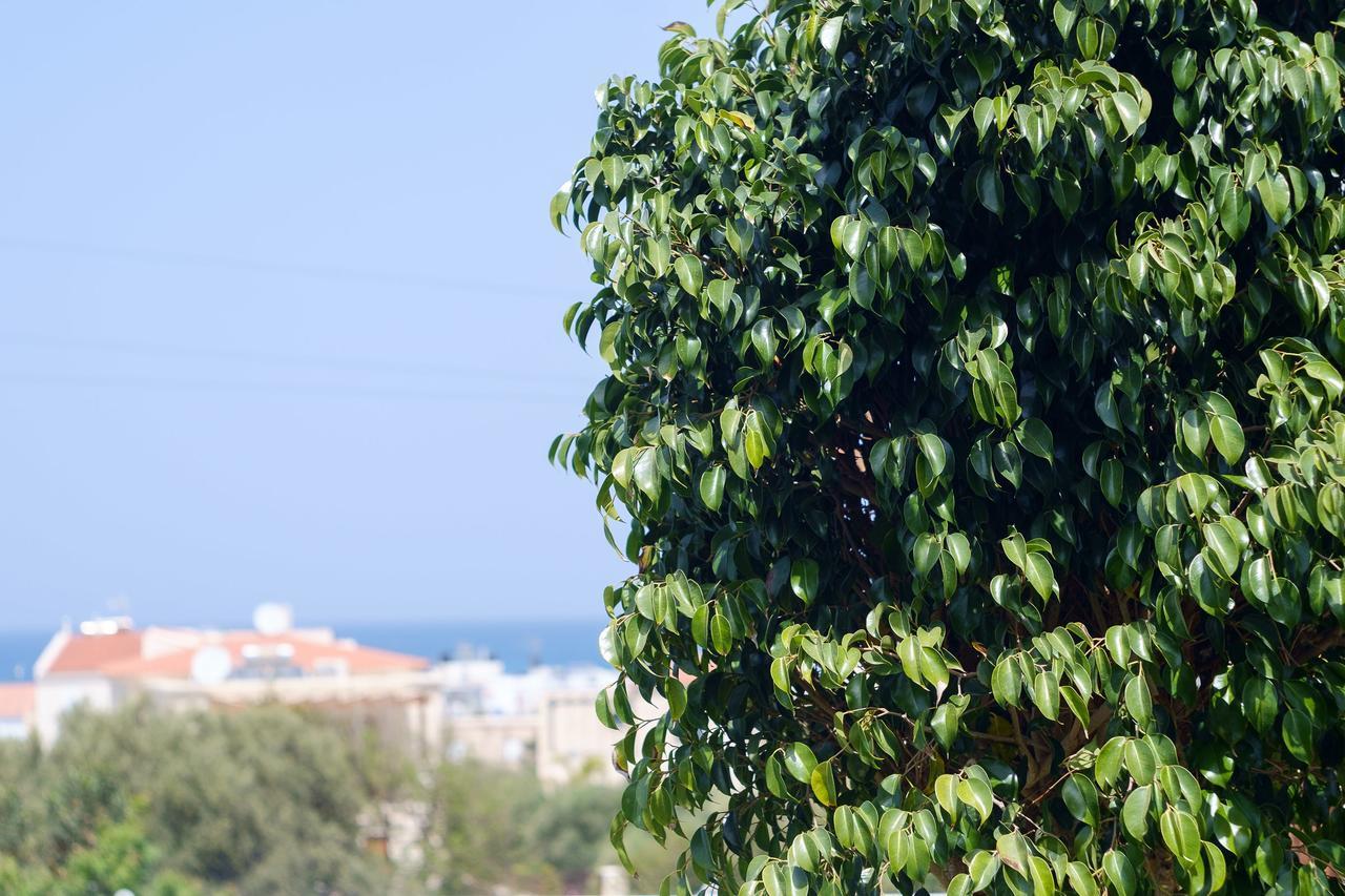 Chill And Relax In A Home With Pool Near The Beach Almirida エクステリア 写真